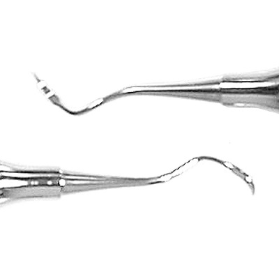 Scaler TAYLOR 2/3 Periodent